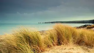 NewStudlandBeachShot