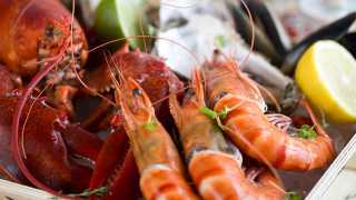 DXBPH_P242_Seafood_with_Champagne_75699