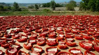 sun-dried-tomatoes