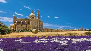 Ta'-Pinu-National-Shrine,-Gharb