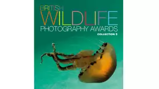 BWPA14_FrontCover_Lrg