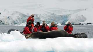 Antarctica-Experience-Day-2-Leopard-Seal