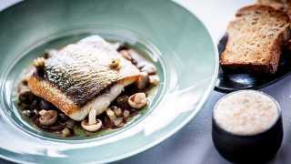 Restaurant-Nathan-Outlaw---Grey-Mullet,-Pickled-Mushrooms-and-Tartare-Dressing-2