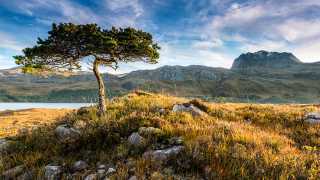 Towards-Slioch-at-Dawn,-from-Loch-Maree,-Wester-Ross,-Scotland-by-Jim-Robertson-(Take-a-view,-2013)-
