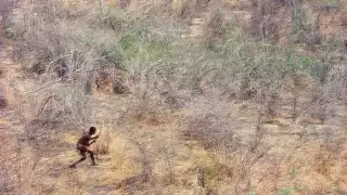 fo-lanting-okavango_gallery