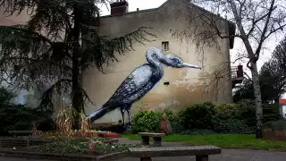 Roa---www.undergroundparis-(11)