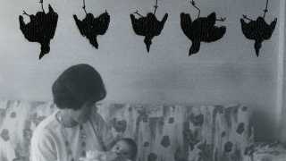 CAROLLE-BENITAH_Oiseaux-pendus_hanged-birds