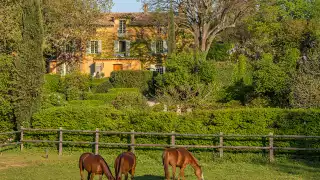 Domaine-de-la-Baume---Tristan-Shu-(1)