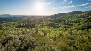 Domaine-de-la-Baume---Tristan-Shu-(12)