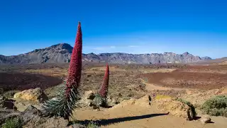 P-NACIONAL-TEIDE-(31)