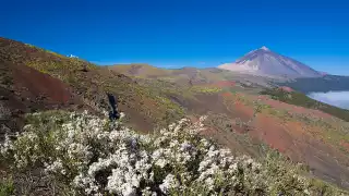 Teide-National-Park-2