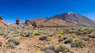 Teide-National-Park-18