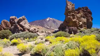 Teide-National-Park-20