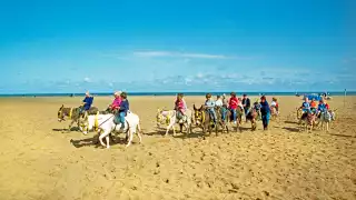 Donkey-rides---Skegness,-Lincolnshire-pg-78