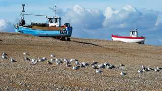 Fishing-boats-on-the-shingle-beach-(Dungeness,-Lydd,-Kent)---pg-21