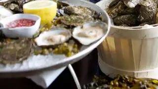 Galway-Native-Oysters