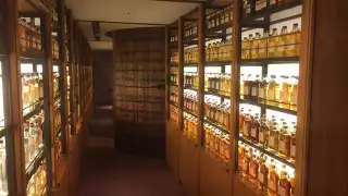 Suntory Yamakazi Distillery, Japan