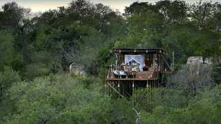The Kingston Treehouse, Lion Sands, Sabi Sands Game Reserve in South Africa