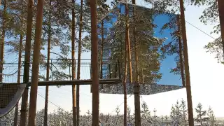 Mirror Cube at Treehotel in Sweden