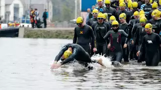 The Dart 10K, Totnes