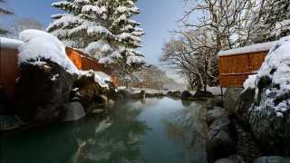 The onsen at the Greenleaf hotel, Japan