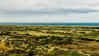 Skagen countryside and wildlife