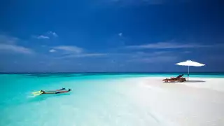 Snorkelling off the coast of the Maldives