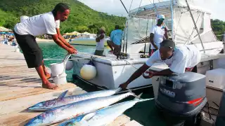 Fishermen at work in boat on Nevis