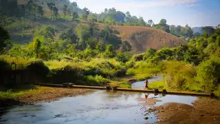 A monk walks through lush landscapes in northenr Thailand