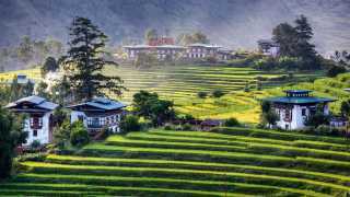 Rice fields in Bhutan