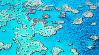 Aerial view of Hardy Reef, a popular snorkelling site