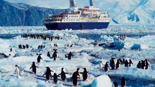 Penguins and an ice-breaker on an Antarctic cruise