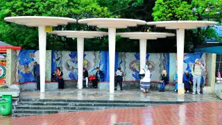 Distinctive Ukrainian urban bus shelter