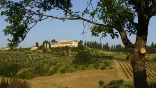 Castello del Nero in its grounds