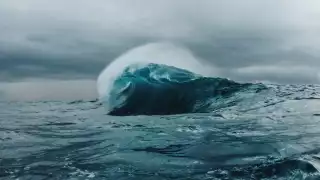 A ripcurling wave in the early morning