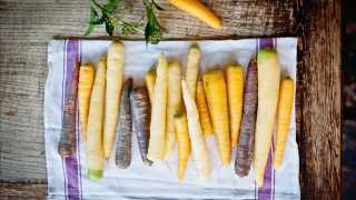 Carrots at the Larder
