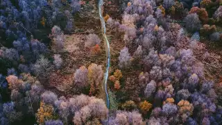 Drone photo of woodland tracks near Sheffield, Yorkshire