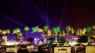 Palms at night, Coachella Festival 2016