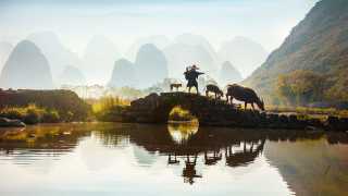 Buffalo Farmer at Gungxi Zhuang Autonomous Region, China