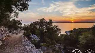 Croatia Movement