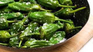 Padron-peppers-world-tapas-day