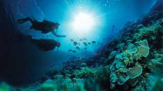 Diving with Sandals resorts