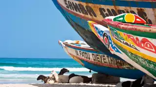 Goats on the beach at Yoff, Senegal