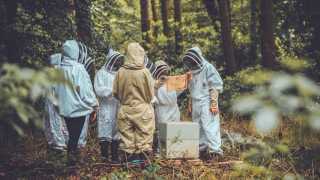 Beekeeping at Wildfire Adventure Camp