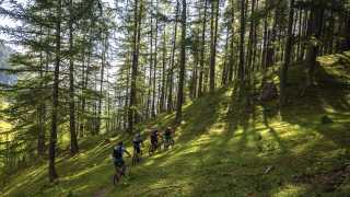 Riding through forest on the GR58 route in the southern French Alps