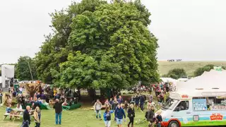 The tree bar at Standon Calling 2017