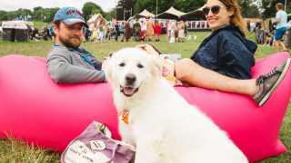 Standon Calling is a dog-friendly festival