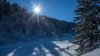 Piste at Alphotel, Austria