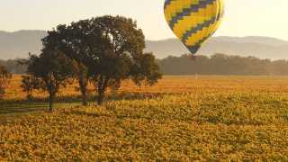 Hot air balloon in Sonoma County, California