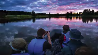 Beaver Safari in Sweden